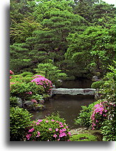 Lotus Pond::Toji-in Temple, Kyoto, Japan::