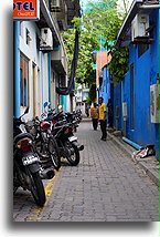 Malé