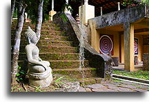 Little Buddha::Kandy, Sri Lanka::