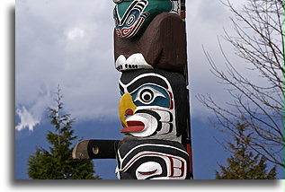 Wild Man of the Woods::Vancouver, British Columbia, Canada::