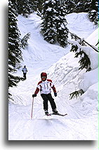 Out of the Woods::Whistler, British Columbia, Canada::