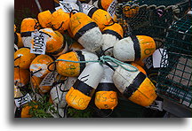 Fishing Net Buoys::Cape Breton, Nova Scotia, Canada::