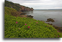 Movement of Water::Cape d'Or, Nova Scotia, Canada::