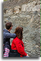 Looking at Fossilized Sigillaria Tree::Joggins, Nova Scotia, Canada::