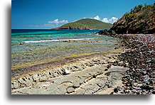 Fringing Reef::Culebra Island, Puerto Rico, Caribbean::