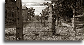 Camp fence #2::Auschwitz Concentration Camp::