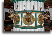 Hunting Trophies::Hunting Lodge in Antonin, Poland::