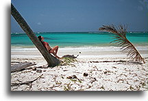 Leaning Palm Tree #2::Dominican Republic, Caribbean::