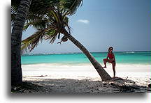 Hiding in the Shade::Dominican Rep., Caribbean::