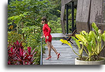 Terrace::Uvita, Costa Rica::