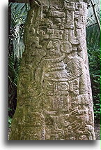 Stela 14::El Ceibal, Guatemala::