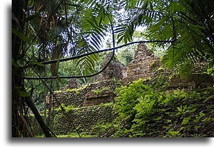 Palace Ruins::Uaxactun, Guatemala::