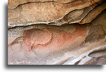 Bighorn Painting::Mesa el Carmen, Baja California, Mexico::