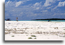 Lonely on Nokanhui #1::Nokanhui, New Caledonia, South Pacific::
