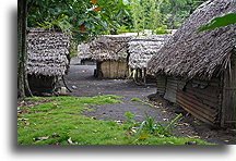 Tanna Villages