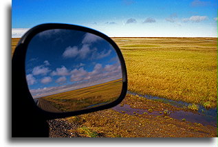 Arctic Tundra::Arctic, Alaska, United States::