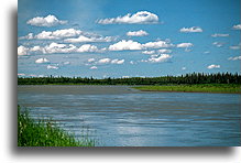 Lazy Yukon River::Alaska, United States::