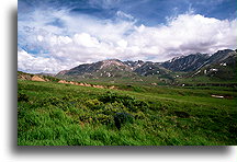 Tundra in Denali::Alaska, United States::