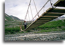 On the Trail::Alaska, United States::