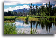 Wrangell Mnts::Alaska, United States::