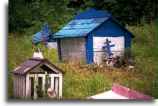 Alaska Natives