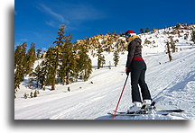 Saddle Face::Palisades Tahoe, CA, USA::