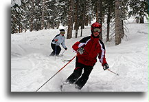 Aspen Mountain Glades::Aspen Mountain, Colorado, USA::