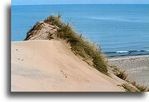 Indiana Dunes