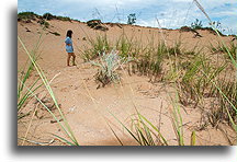 Sand Walk::Sleeping Bear Dunes, Michigan, USA::