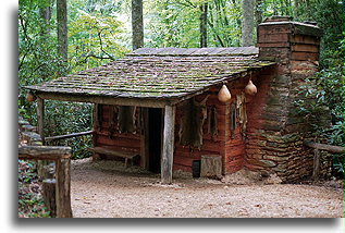 Cherokee Indians