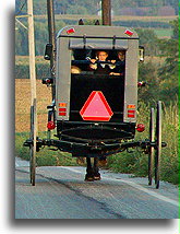 Children in the Buggy::Lancaster County, Pennsylvania, United States::