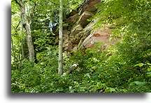Meadowcroft Rockshelter
