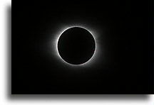Glowing Corona::Francis Marion National Forest, South Carolina, United States::