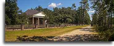 Road in Francis Marion National Forest::Santee, South Carolina, USA::