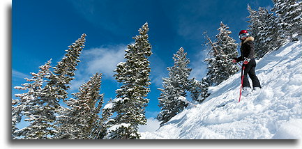 Glory Gulch Trail::Alta, Utah, United States::