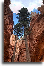 Bryce Canyon