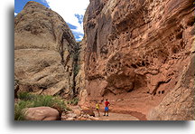 Grand Wash #5::Capitol Reef, Utah, USA::